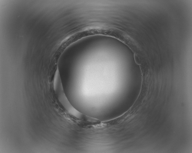X0000054380822200508121604