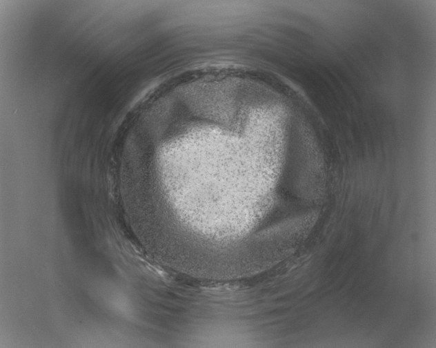 X0000054380823200508121604