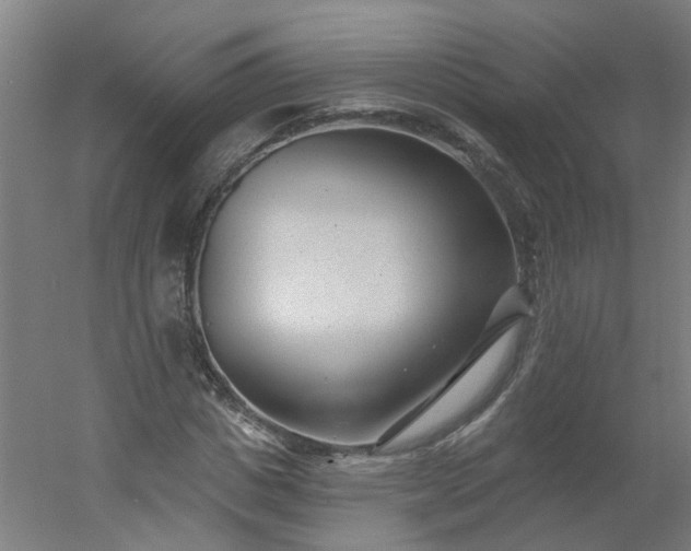 X0000054380825200508121604