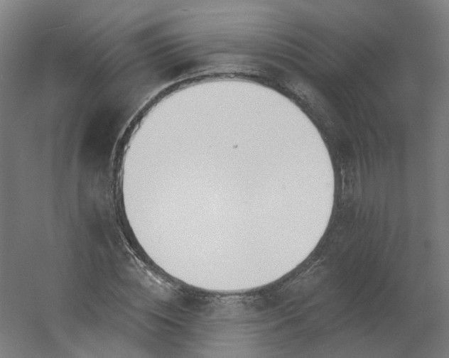 X0000054380828200508121604