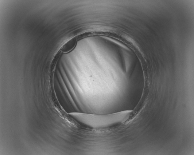 X0000054380829200508121604