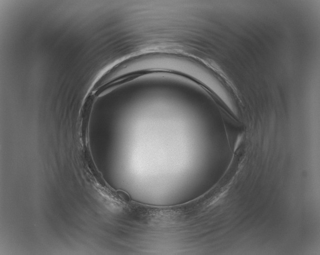 X0000054380830200508121604