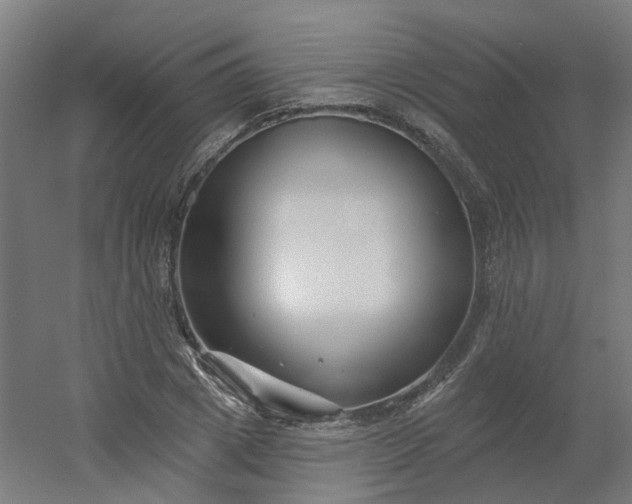 X0000054380833200508121604