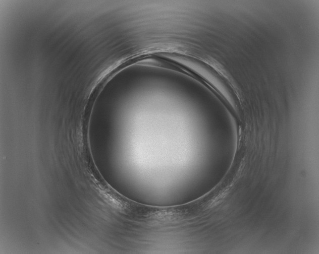 X0000054380834200508121604