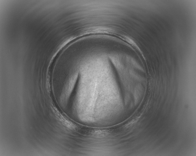 X0000054380835200508121604