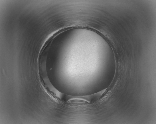 X0000054380838200508121604