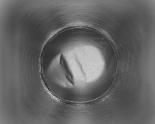 X0000054380839200508121604