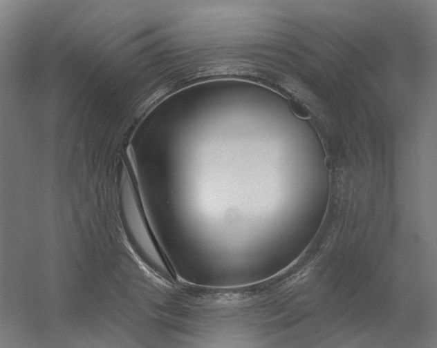X0000054380841200508121604