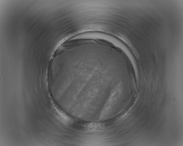 X0000054380842200508121604