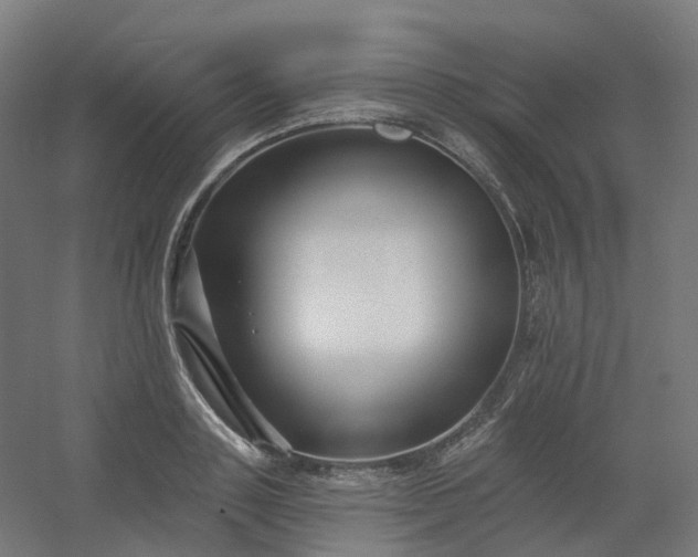 X0000054380843200508121604