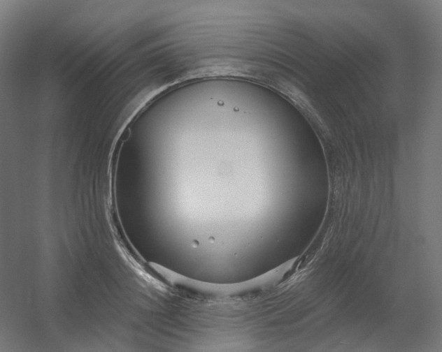 X0000054380844200508121604