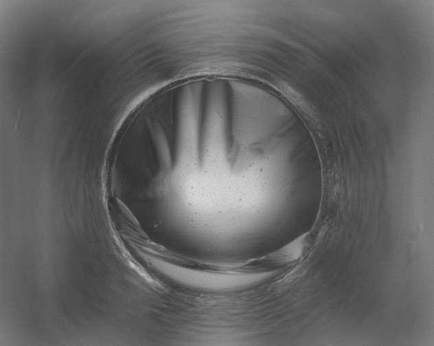 X0000054380846200508121604