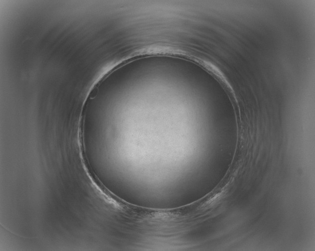 X0000054380847200508121604