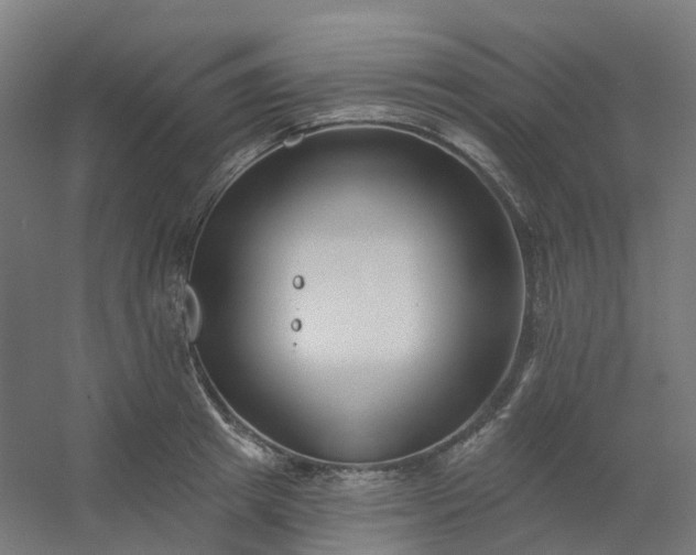 X0000054380849200508121604