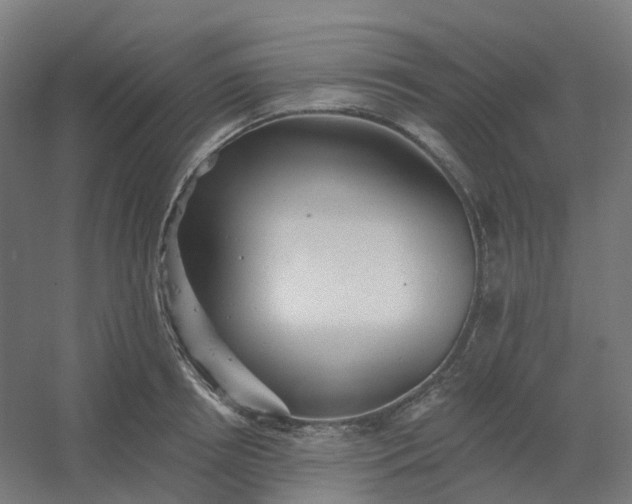 X0000054380850200508121604