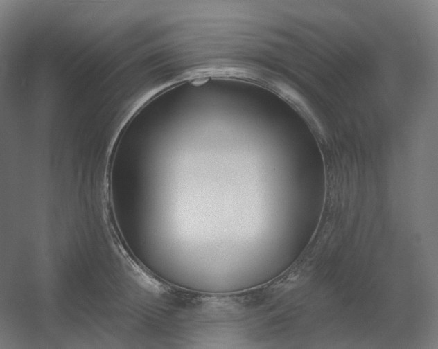 X0000054380852200508121604