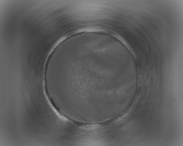 X0000054380853200508121604