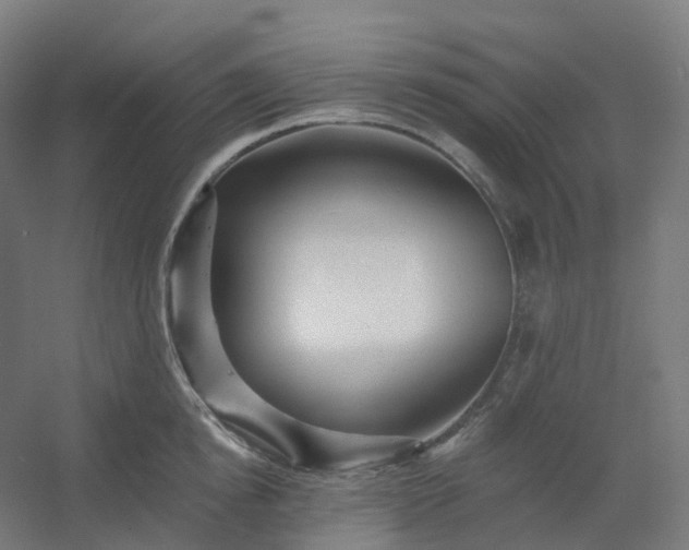 X0000054380854200508121604
