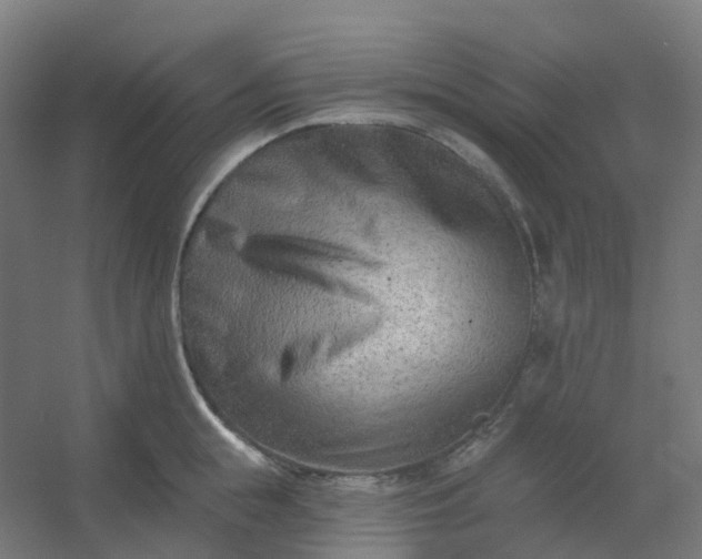 X0000054380855200508121604
