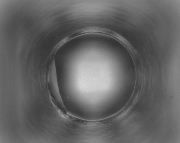 X0000054380857200508121604