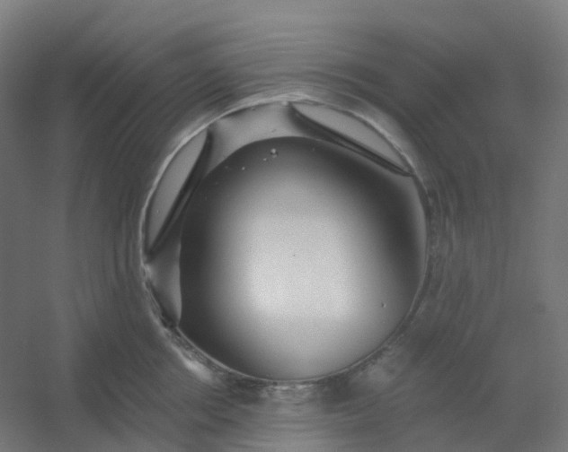 X0000054380858200508121604