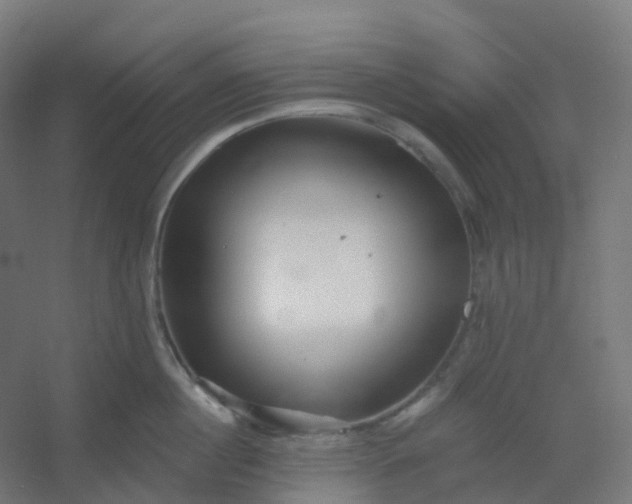 X0000054380860200508121604
