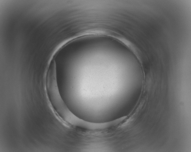 X0000054380862200508121605