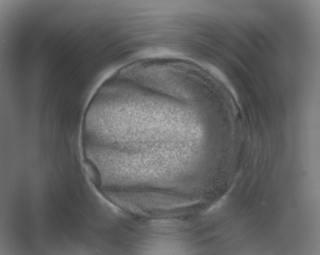 X0000054380863200508121605