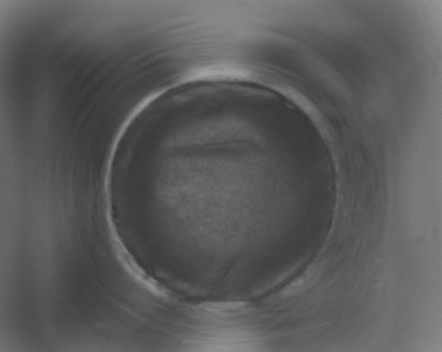 X0000054380864200508121605