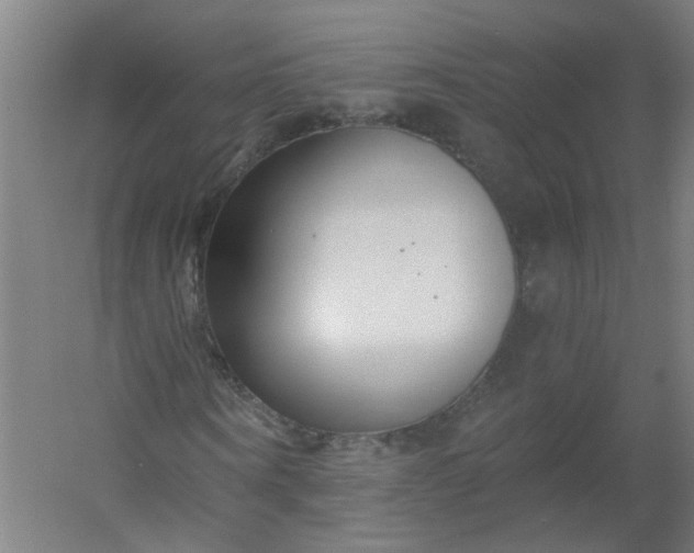 X0000054380866200508121604