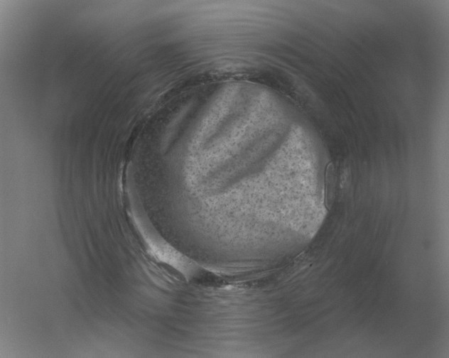 X0000054380868200508121604