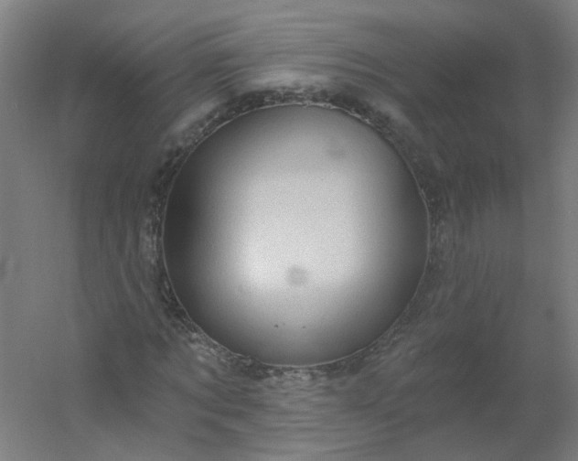 X0000054380869200508121604