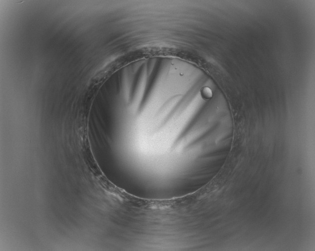 X0000054380870200508121604