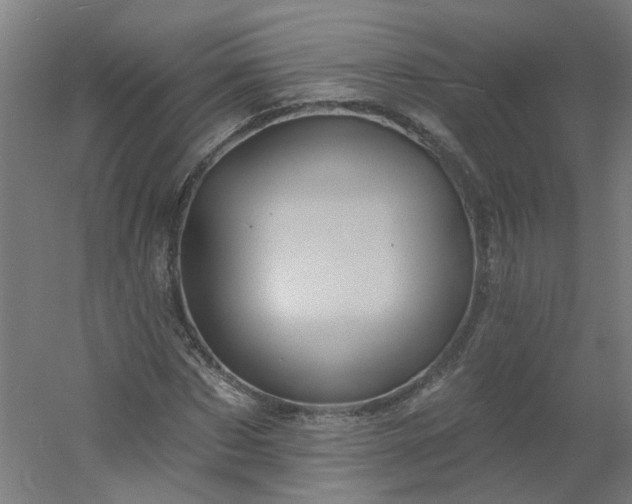 X0000054380873200508121604