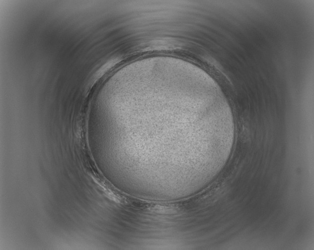 X0000054380874200508121604