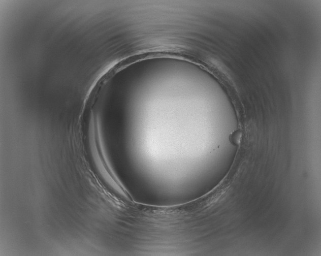 X0000054380875200508121604