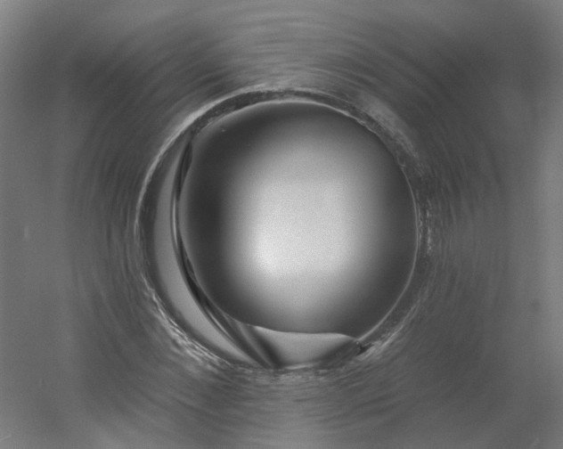 X0000054380876200508121604