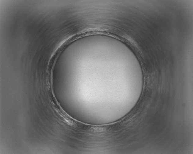 X0000054380878200508121604