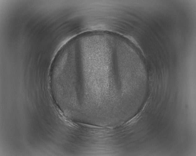 X0000054380879200508121604