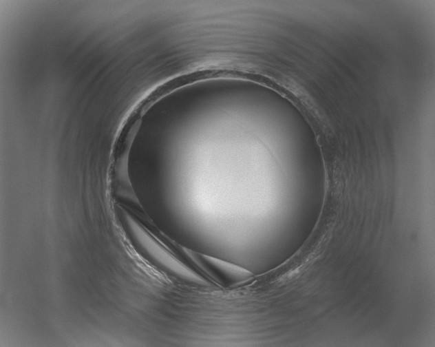 X0000054380880200508121603
