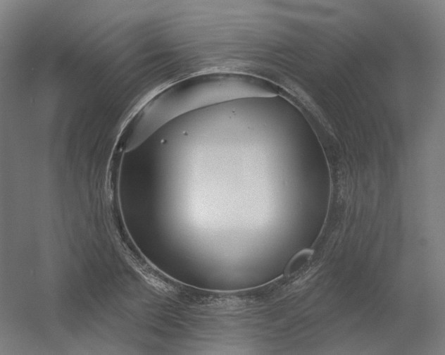X0000054380885200508121603