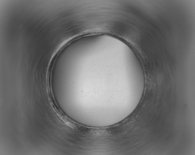 X0000054380886200508121603