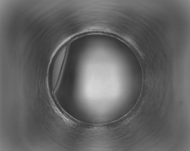 X0000054380888200508121603