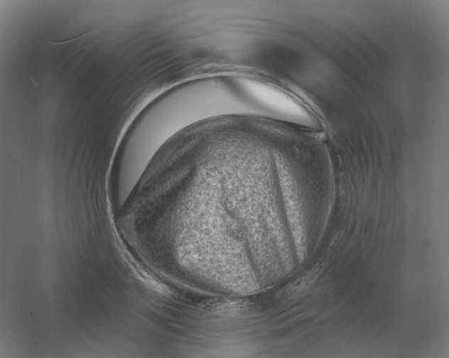 X0000054380891200508121603