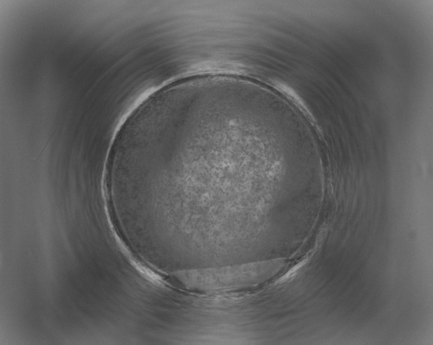 X0000054380893200508121603