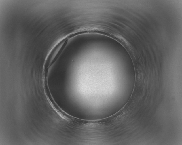 X0000054380894200508121603