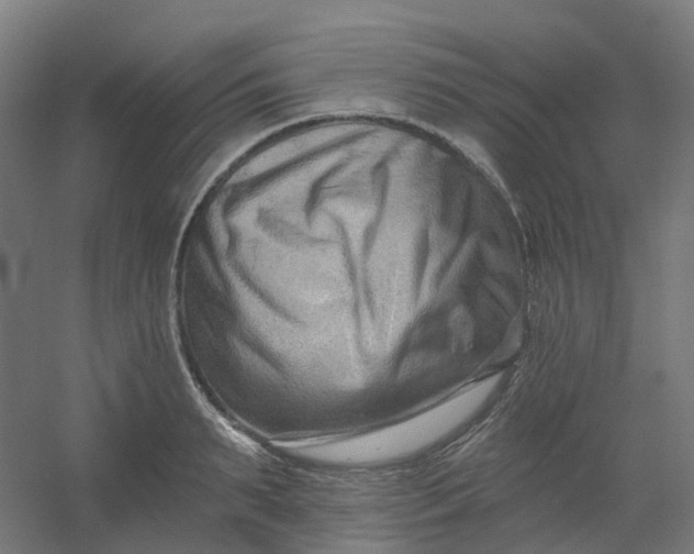 X0000054380895200508121603