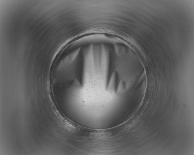 X0000054380896200508121603