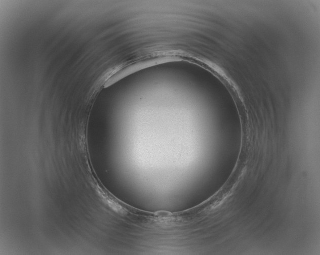 X0000054380897200508121603