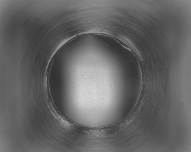 X0000054380900200508121603